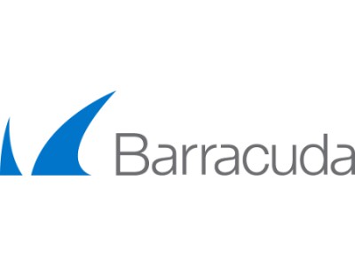 Barracuda SSL VPN beveiligen